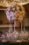 Mivento_ (357)_cleanup